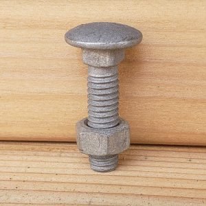 Long Carriage Bolt Set