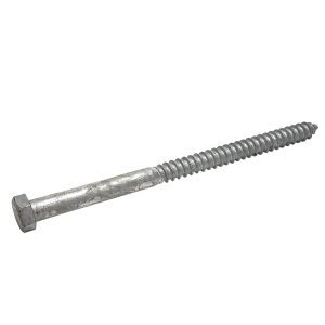 1/2" x 8" Lag Screws